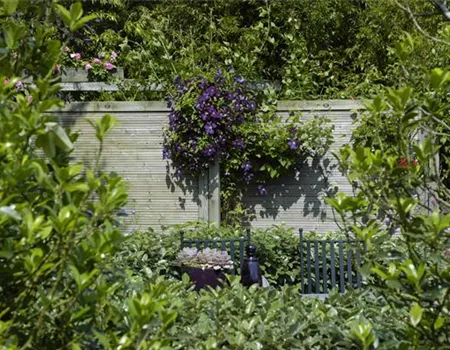 Nachbarn? Nein, danke! Der passende Sichtschutz für den Garten