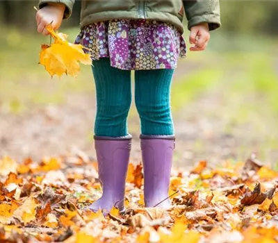 Gartenarbeit vor dem Winter - Vorbereitung für die kalte Jahreszeit Gartenarbeit vor dem Winter - Vorbereitung für die kalte Jahreszeit